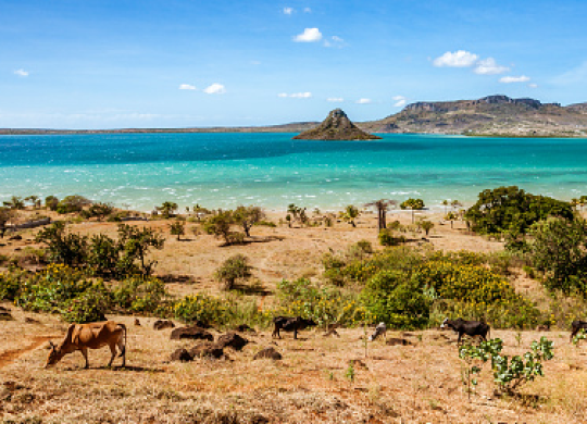 Pourquoi cela vaut-il la peine de déménager à Madagascar pour obtenir la résidence permanente et comment obtenir la citoyenneté