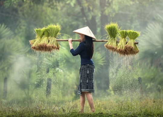 Trabalho no Camboja: documentos necessários, o clima empresarial do país