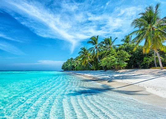 Budget pour un voyage aux Maldives : Combien coûte un voyage aux Maldives. Conseils pour les voyageurs à petit budget