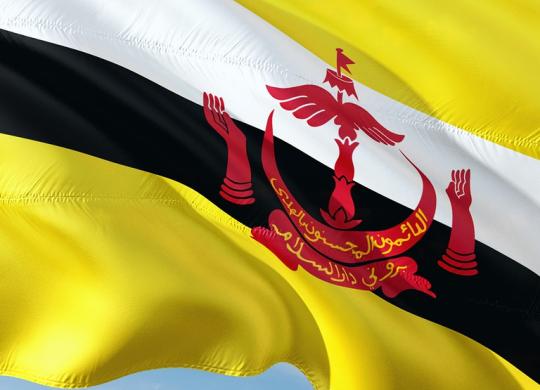 Medicina y asistencia sanitaria en Brunei: lo que los extranjeros deben saber sobre los servicios médicos