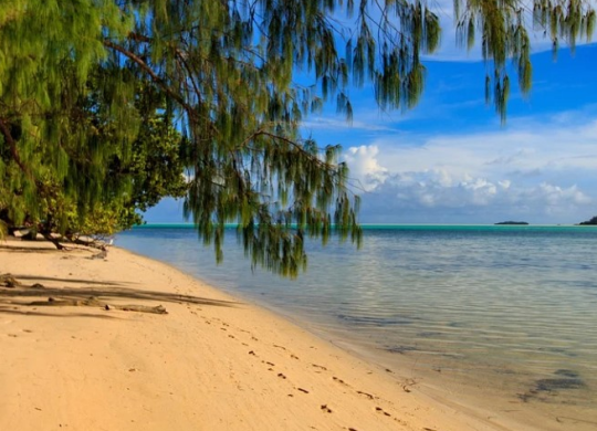 Medicina e sistema de saúde em Palau: nuances locais, cuidados médicos para turistas