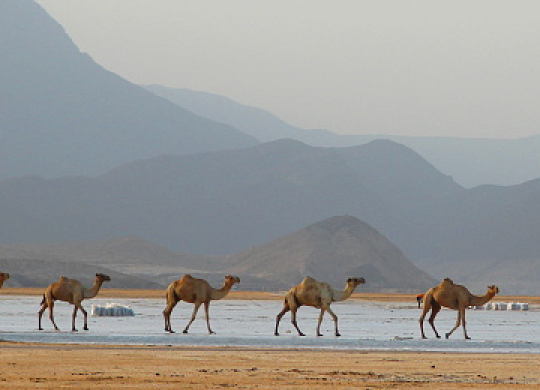 Características do turismo em Djibuti: um guia sobre as principais questões para os viajantes