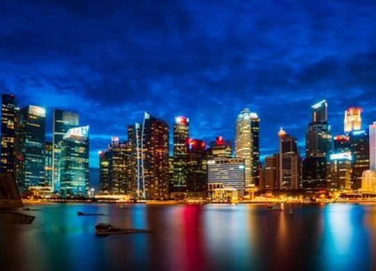 Visumdokumente für Singapur: Wie man eine Reise durch das Land organisiert