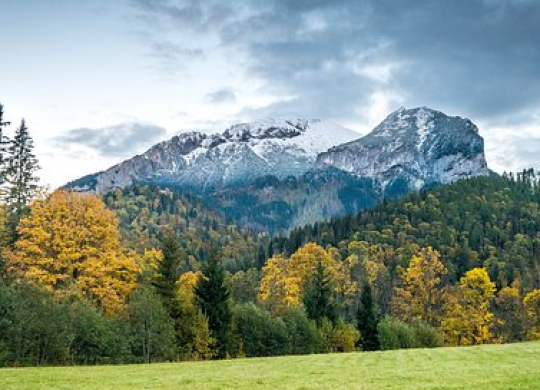 Zugang zur Hochschulbildung in der Slowakei: Tipps für die Hochschulzulassung