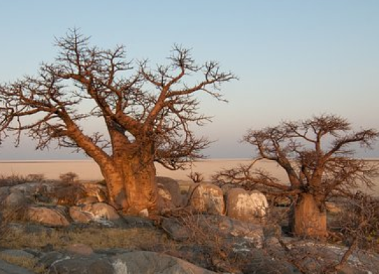 What a tourist needs to know about medicine in Botswana before going to the country